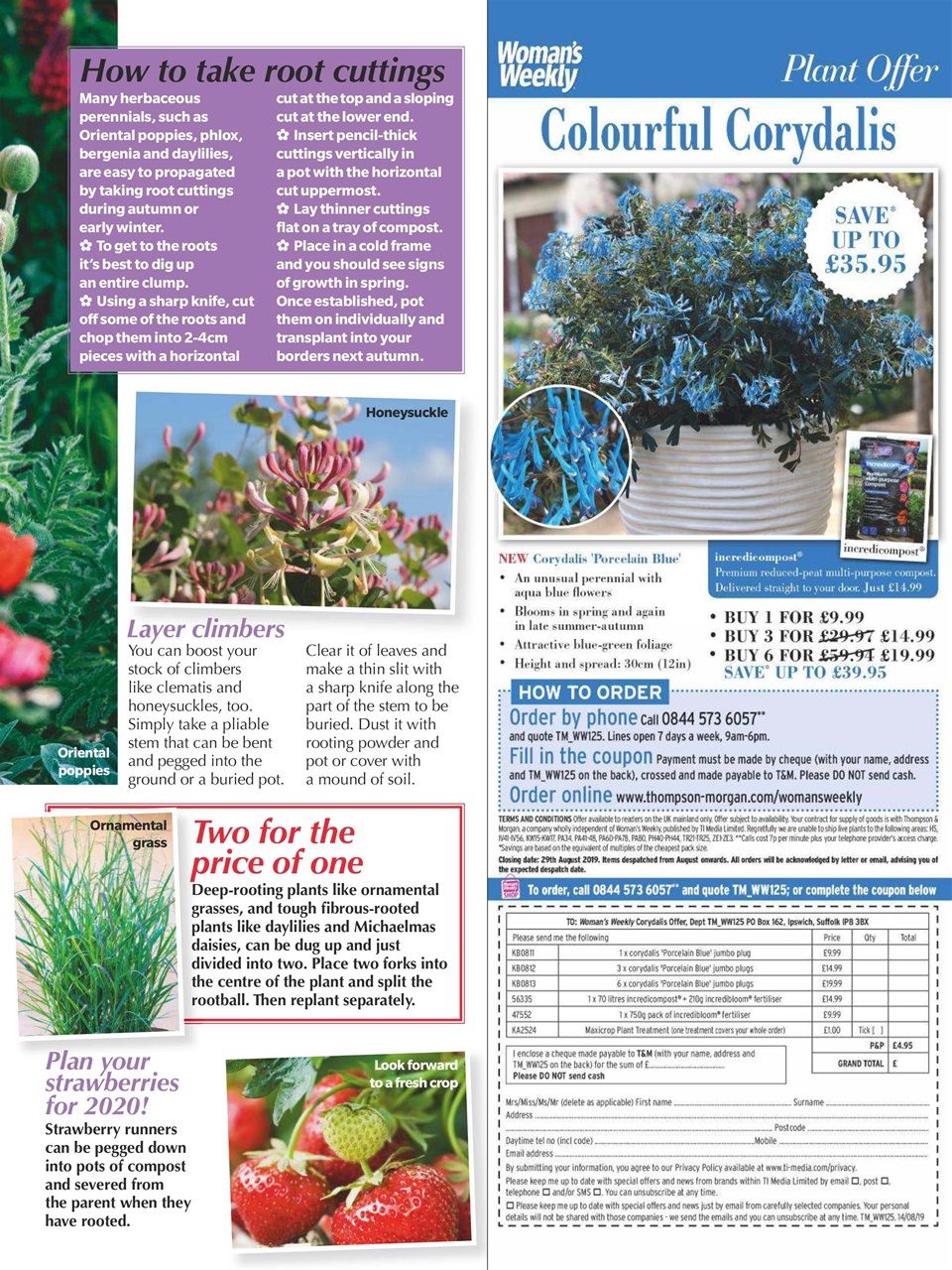 Woman's Weekly Preview Pages