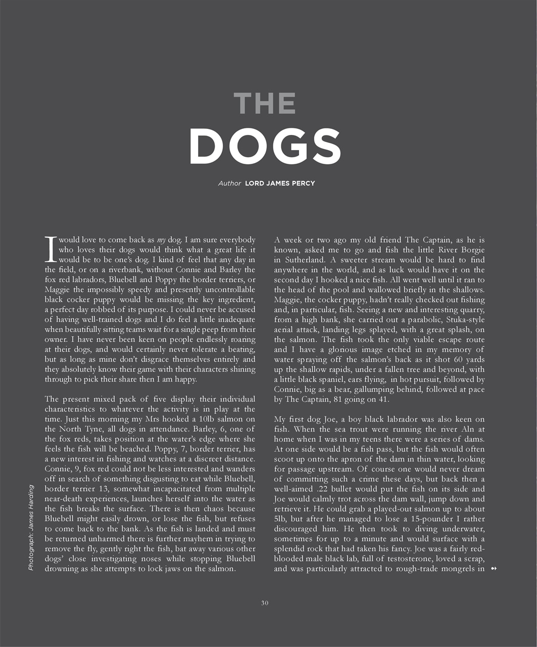 Fieldsports Journal Preview Pages