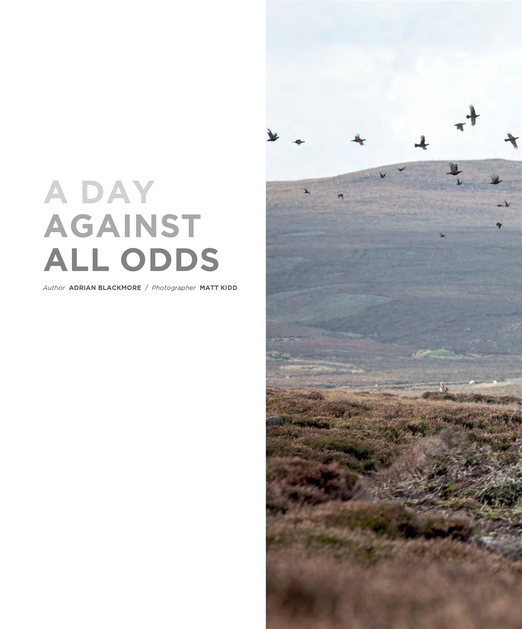 Fieldsports Journal Preview Pages