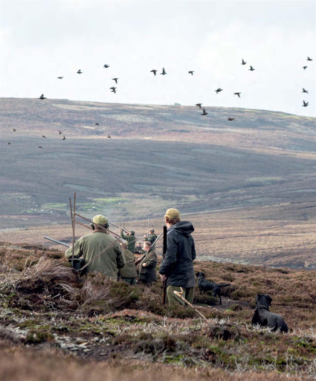 Fieldsports Journal Preview Pages