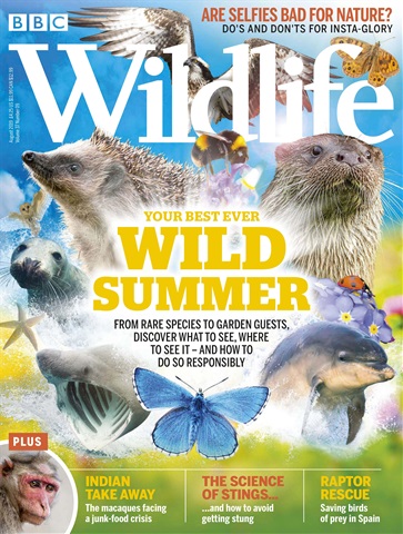 BBC Wildlife Magazine issue August 2019