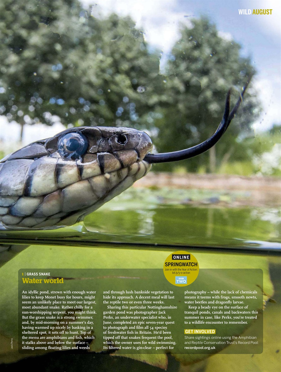 BBC Wildlife Magazine Preview Pages
