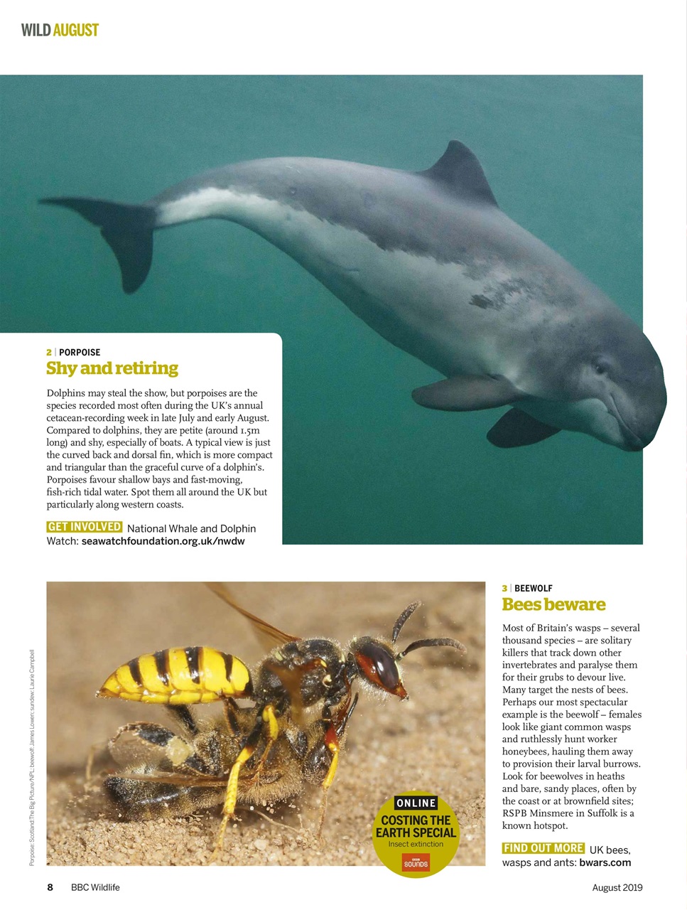 BBC Wildlife Magazine Preview Pages