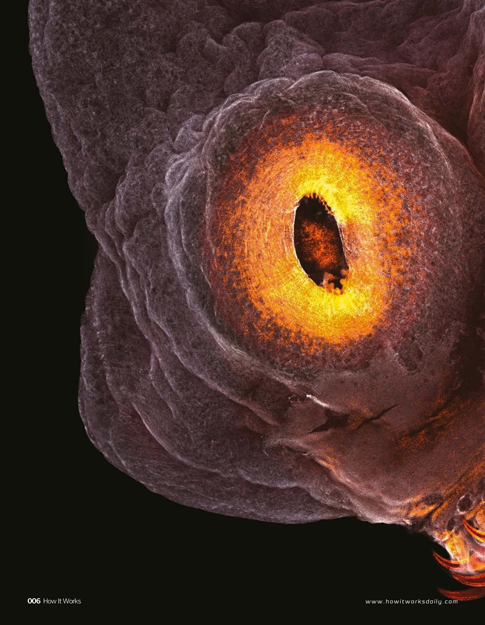 How It Works Preview Pages