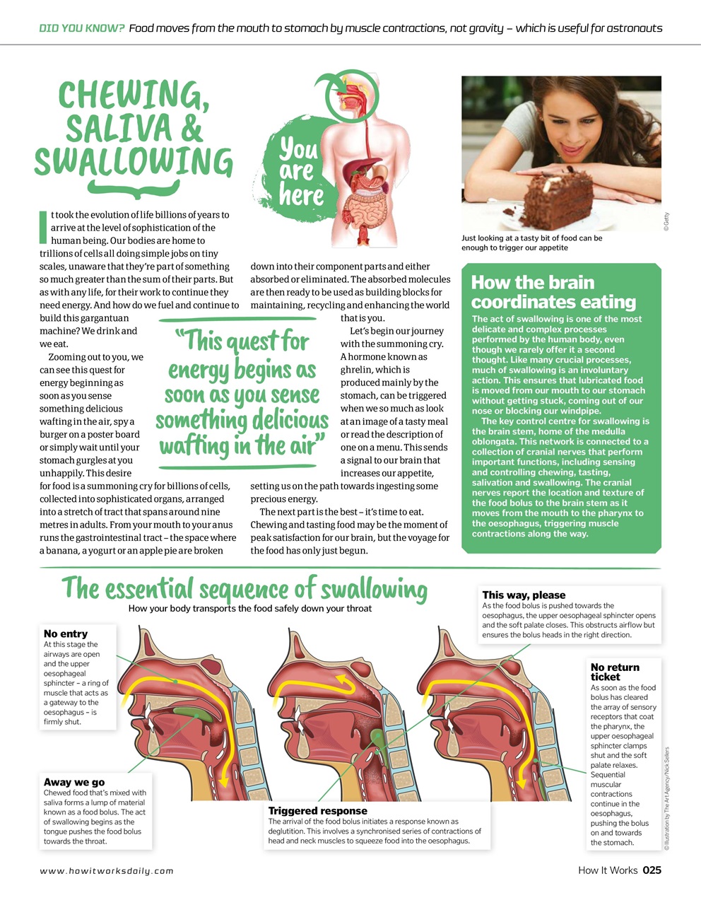 How It Works Preview Pages