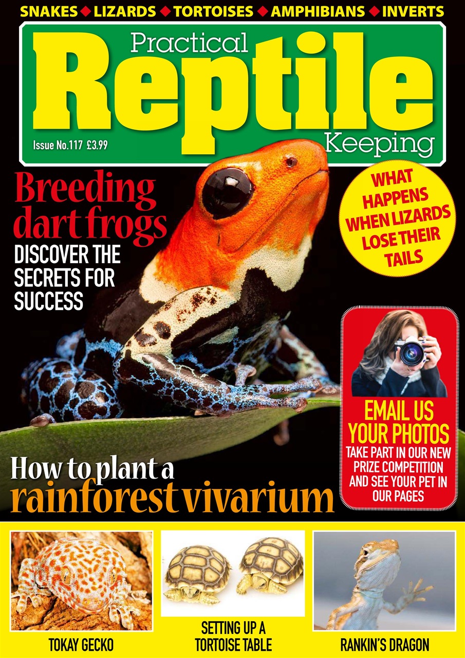 Practical Reptile Keeping Preview Pages