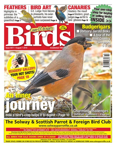 Cage & Aviary Birds issue 