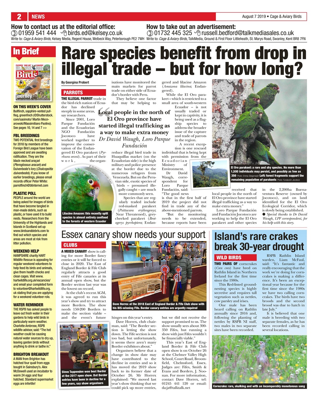 Cage & Aviary Birds Preview Pages