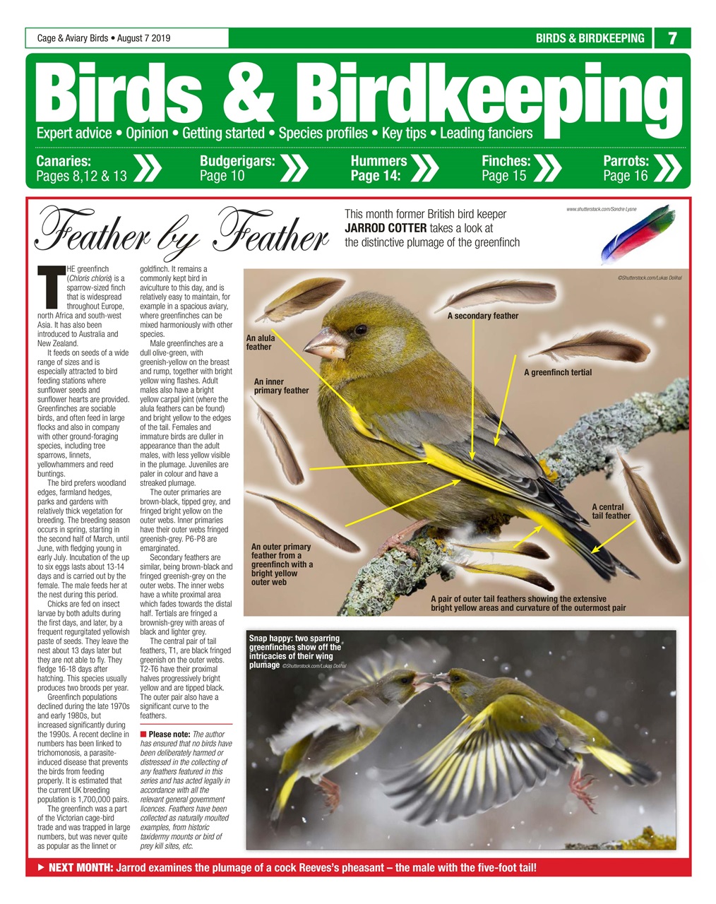 Cage & Aviary Birds Preview Pages