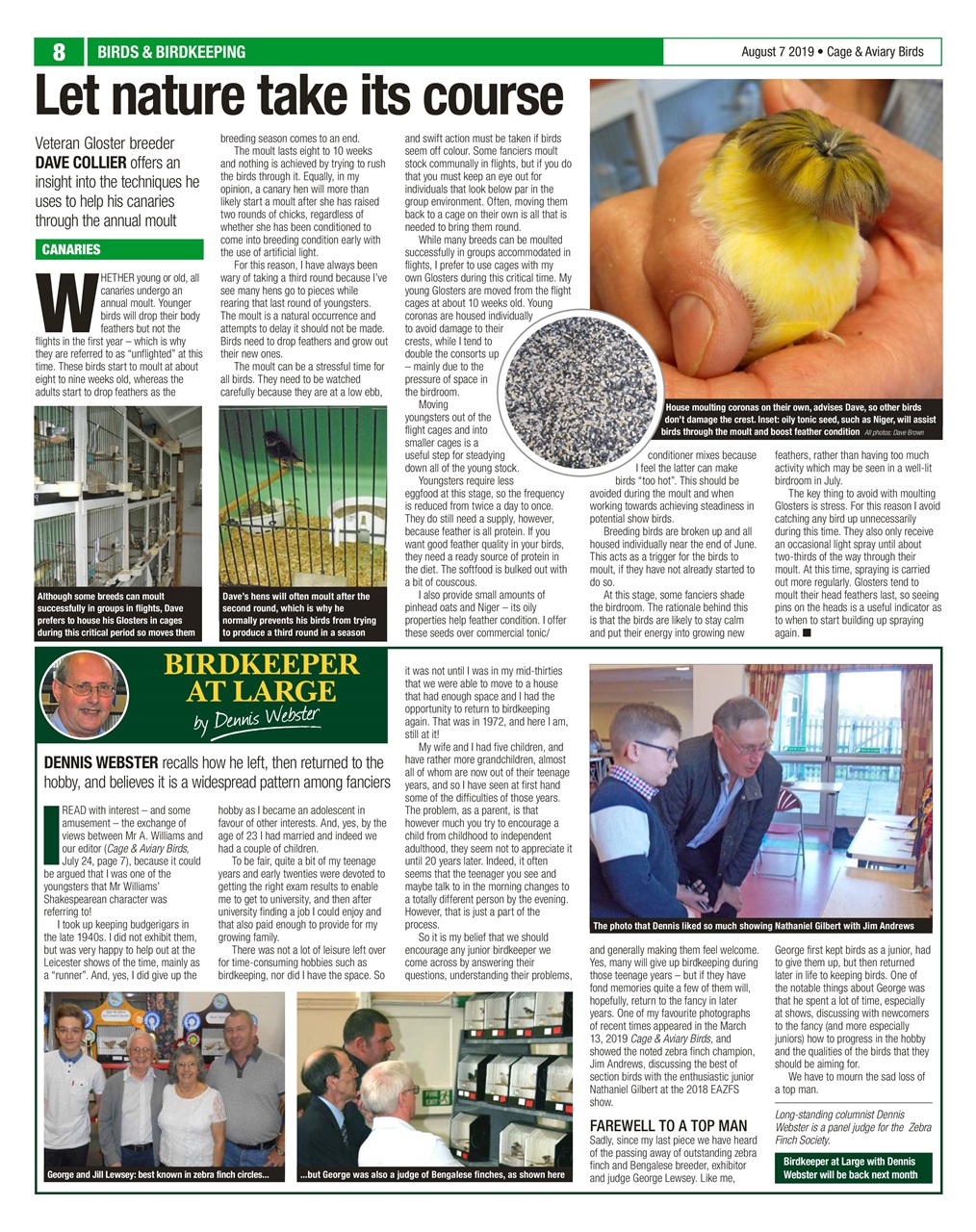 Cage & Aviary Birds Preview Pages