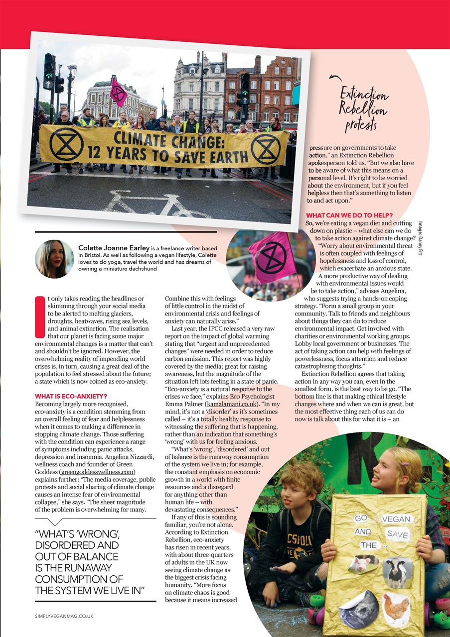Simply Vegan Preview Pages