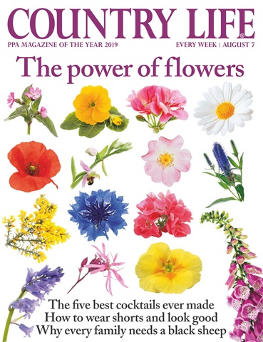 Country Life issue 7th August 2019