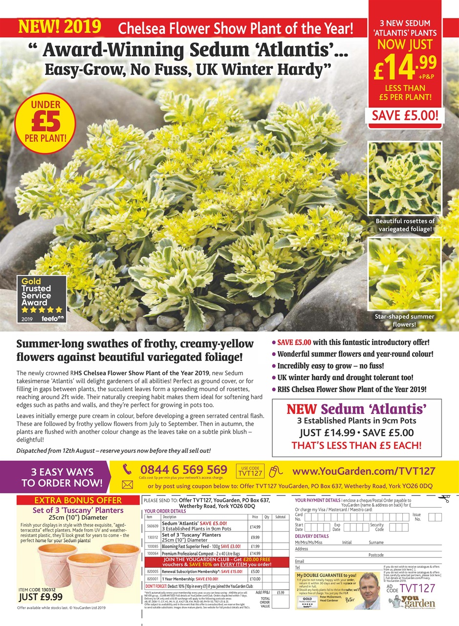 TV Times Preview Pages