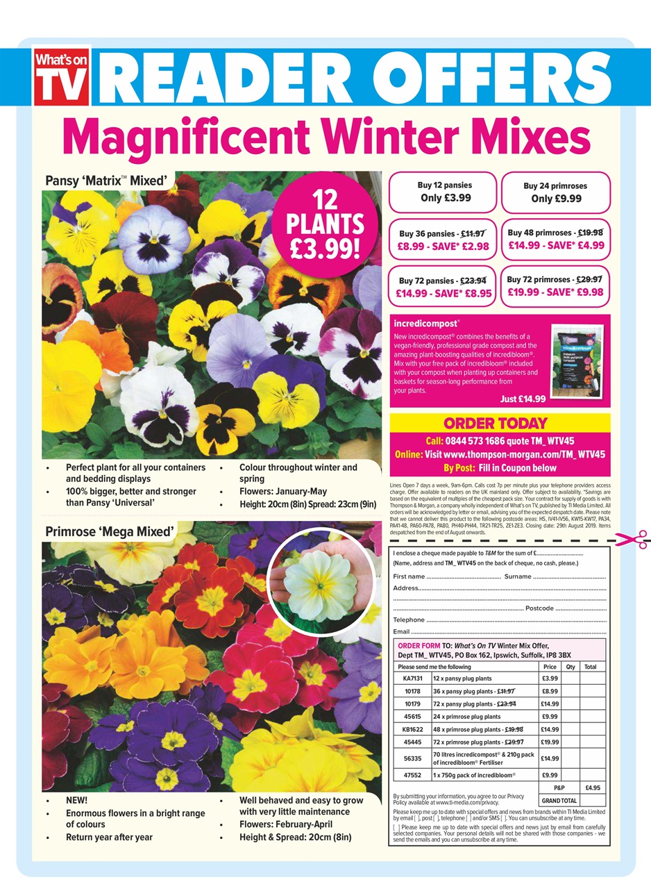 What's on TV Preview Pages