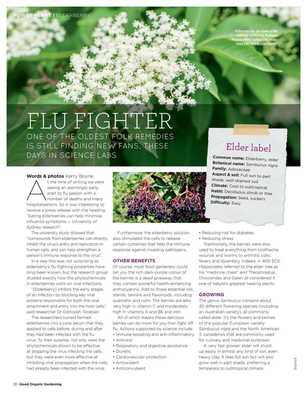 Good Organic Gardening Preview Pages