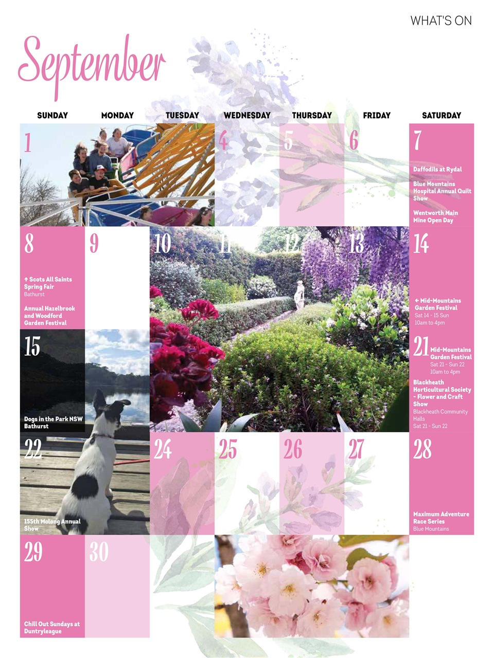 Blue Mountains Life Preview Pages