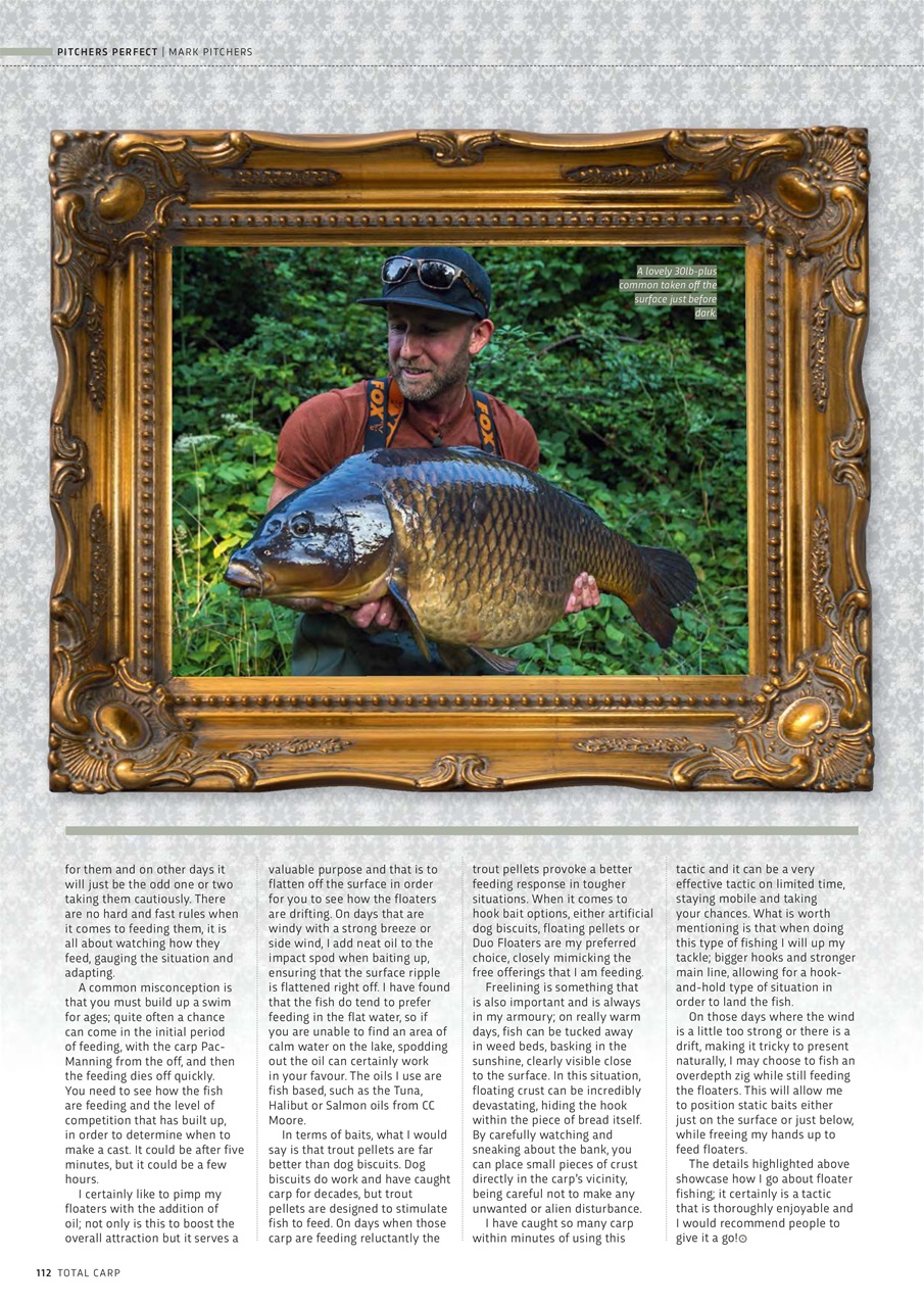 Total Carp Preview Pages
