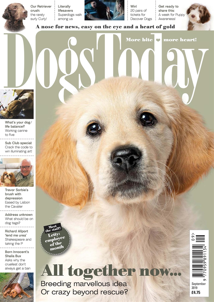 Dogs Today Magazine Preview Pages