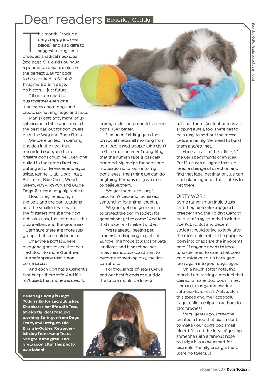 Dogs Today Magazine Preview Pages
