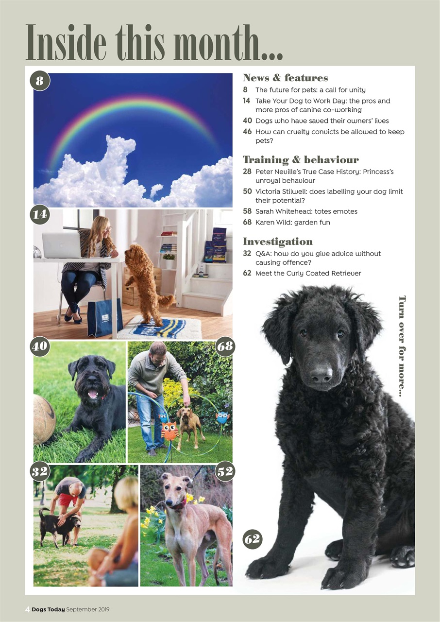 Dogs Today Magazine Preview Pages