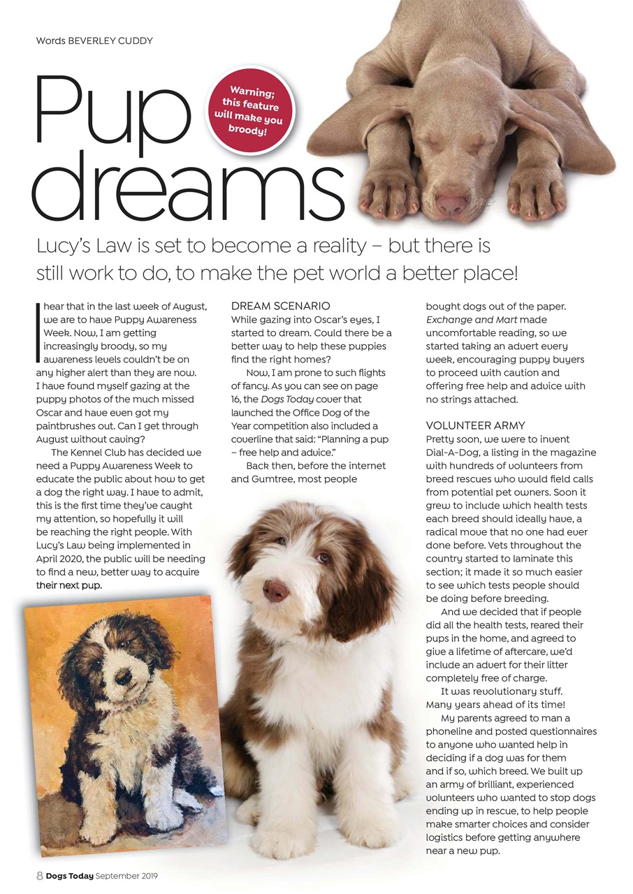 Dogs Today Magazine Preview Pages