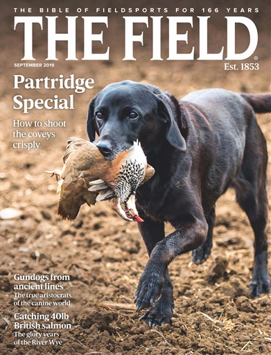 The Field issue 