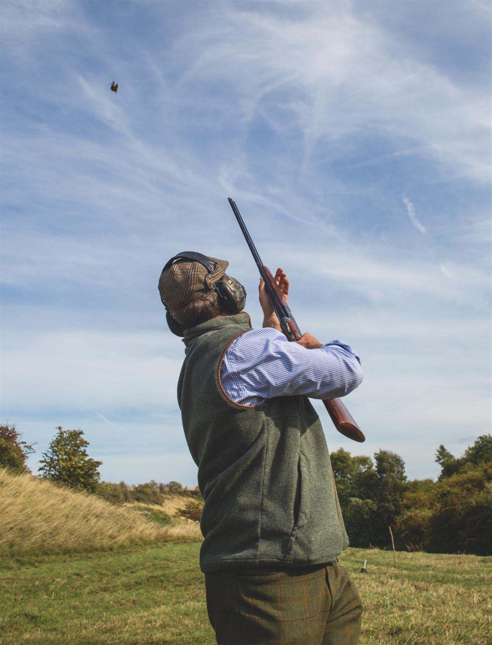 The Field Preview Pages