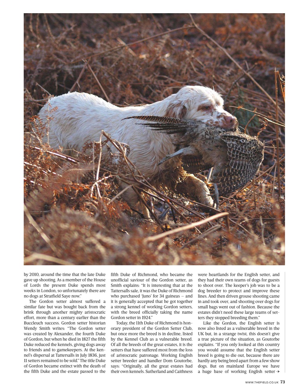 The Field Preview Pages