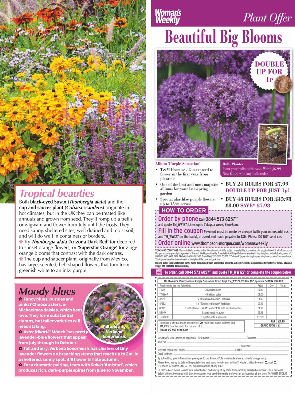 Woman's Weekly Preview Pages