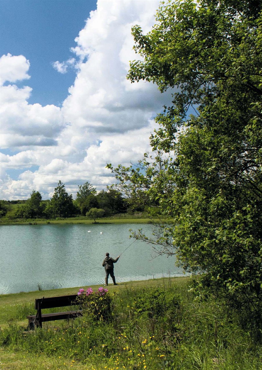 Trout Fisherman Preview Pages