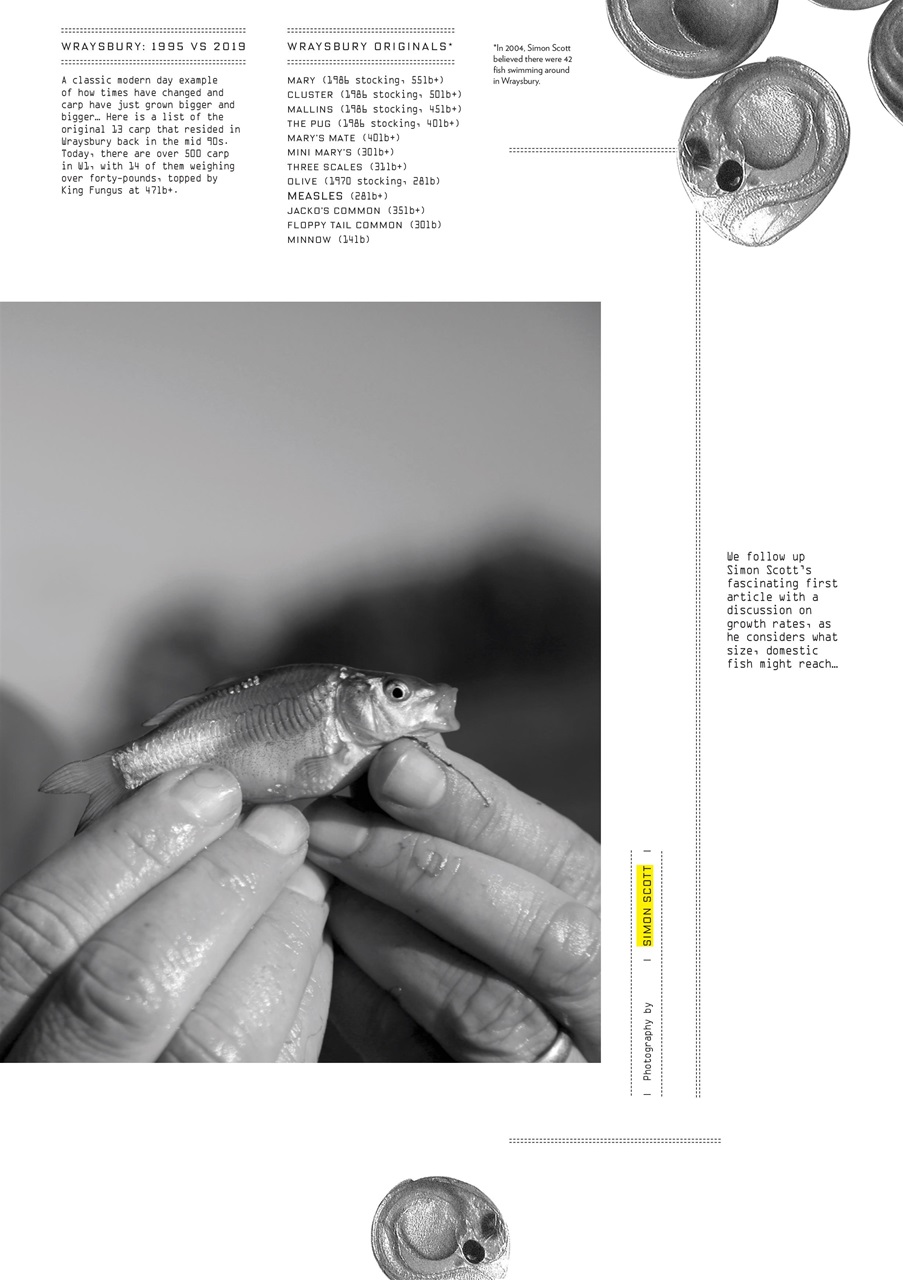 CARPology Magazine Preview Pages