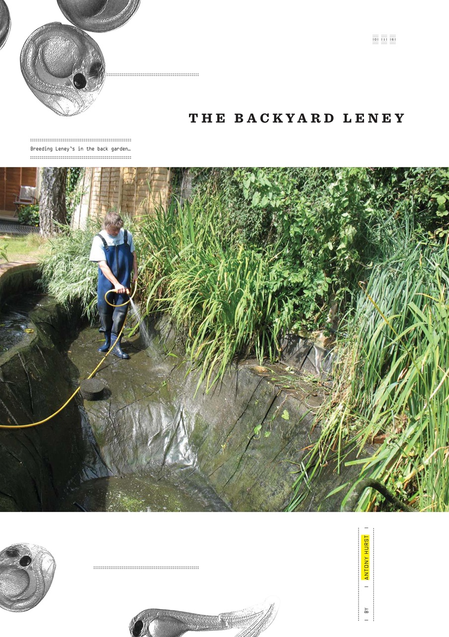 CARPology Magazine Preview Pages