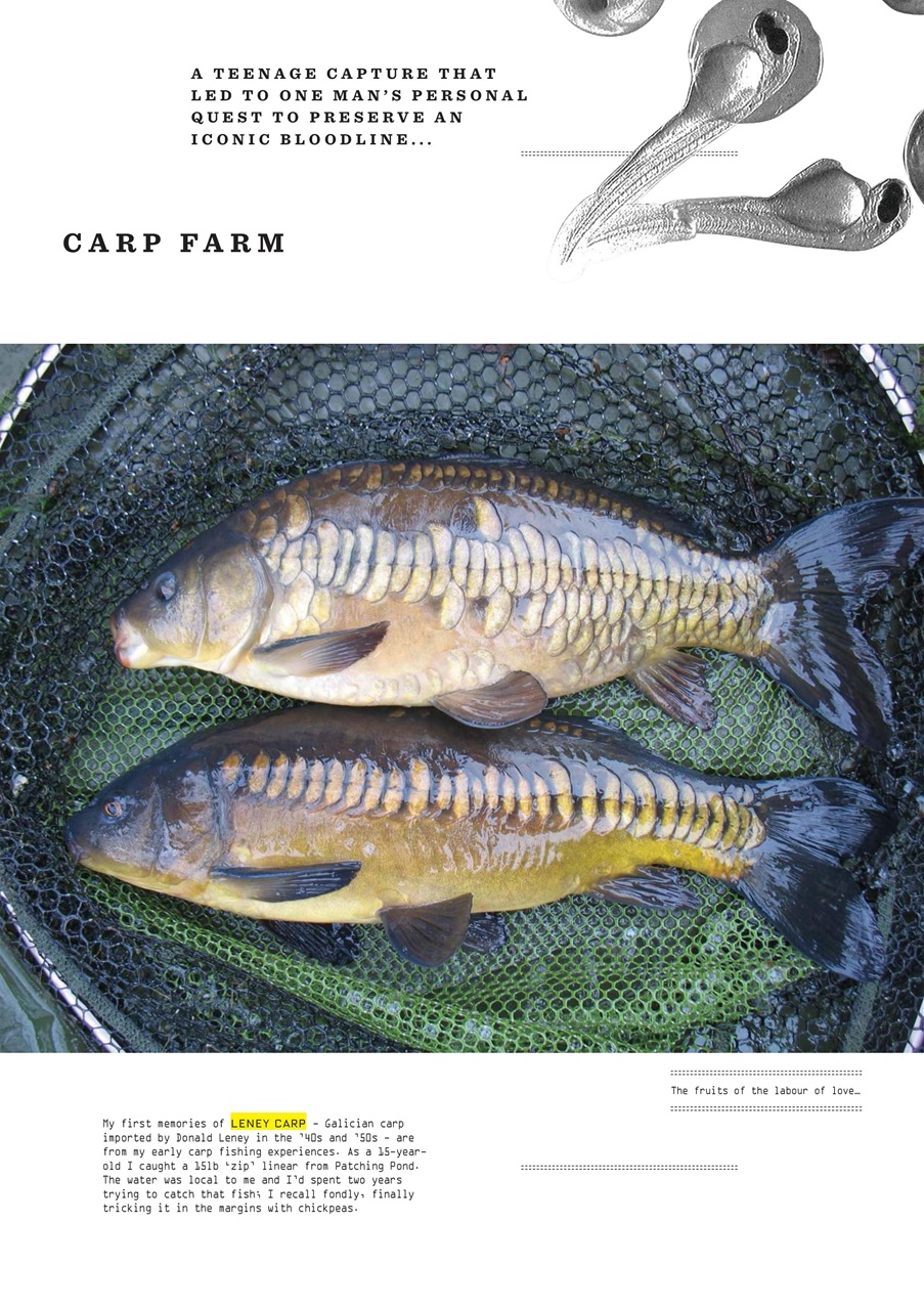 CARPology Magazine Preview Pages