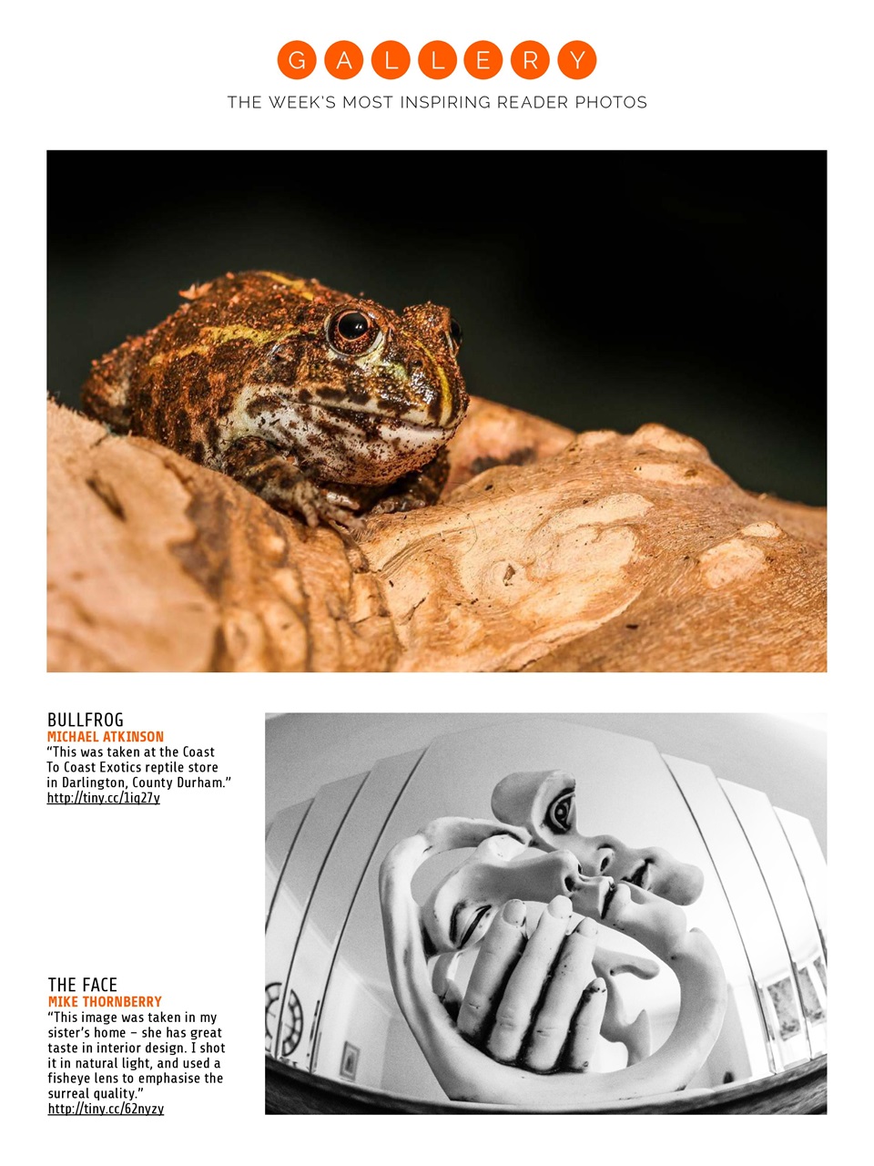 Photography Week Preview Pages