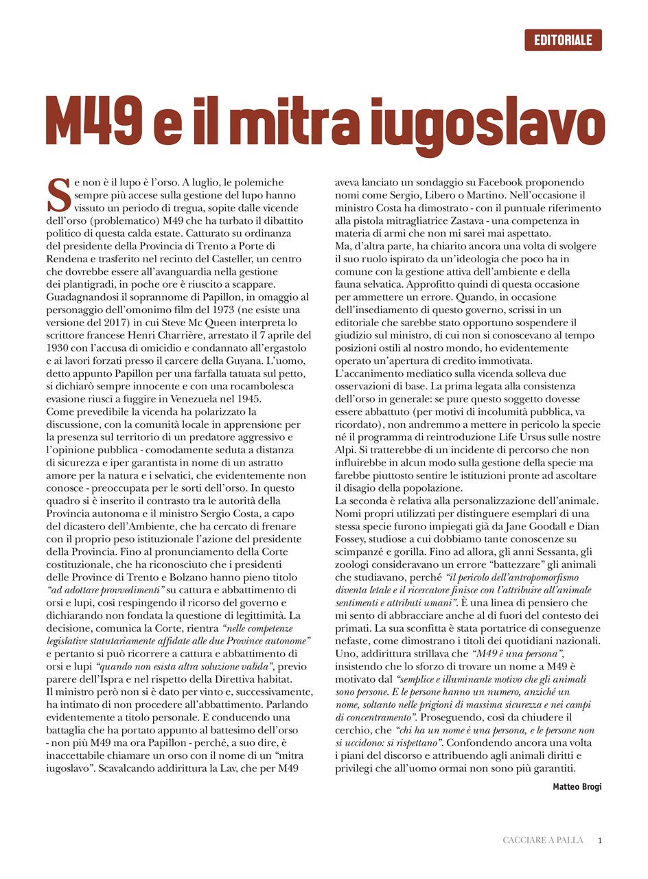 Caccia Magazine Preview Pages