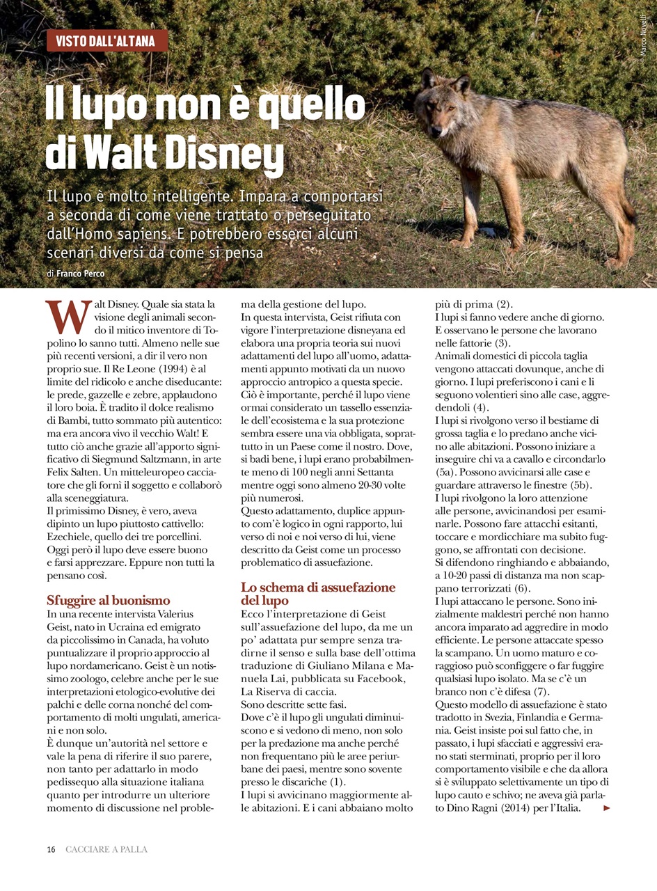 Caccia Magazine Preview Pages