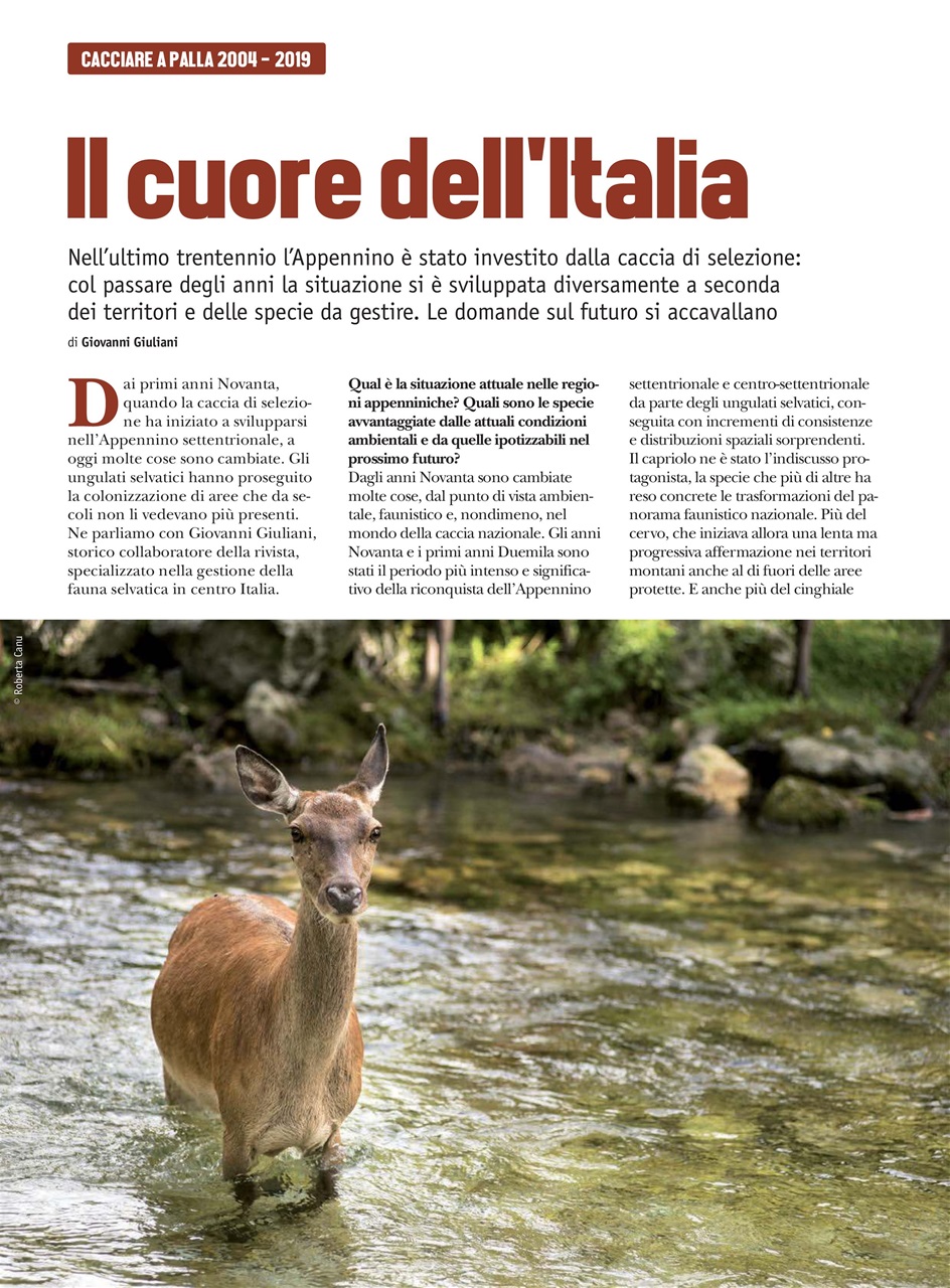 Caccia Magazine Preview Pages