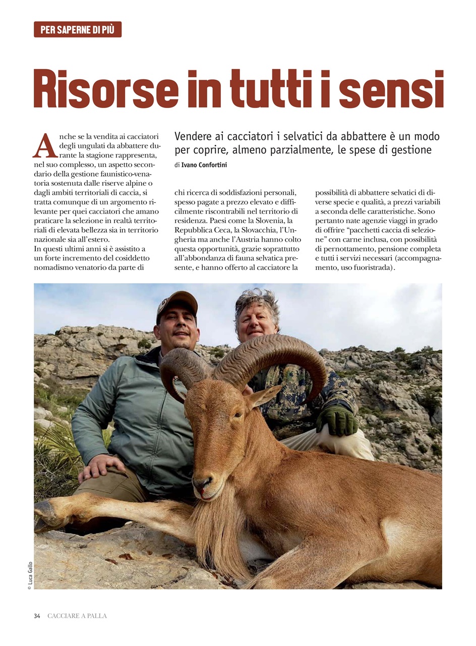 Caccia Magazine Preview Pages