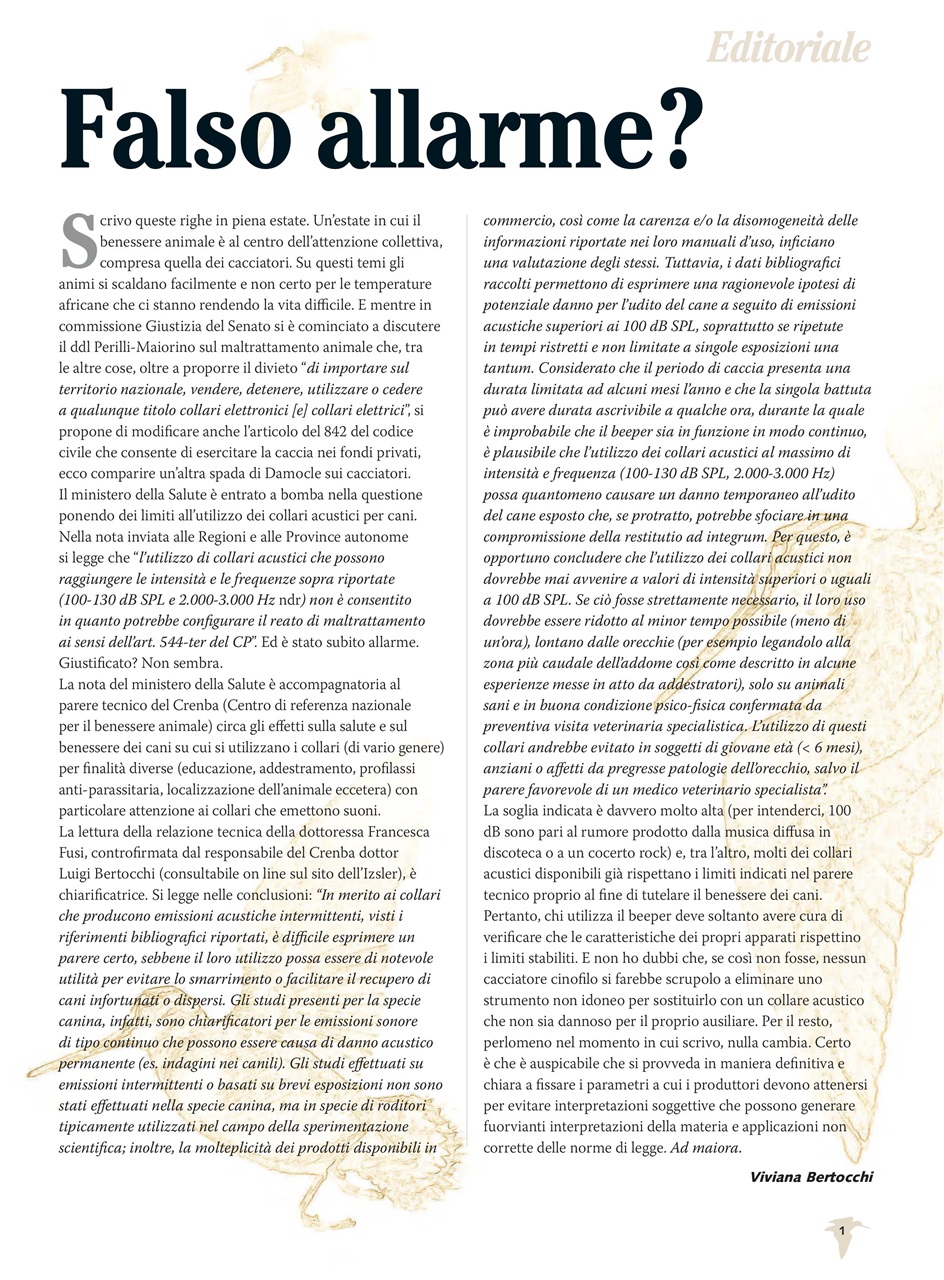 BECCACCE CHE PASSIONE Preview Pages