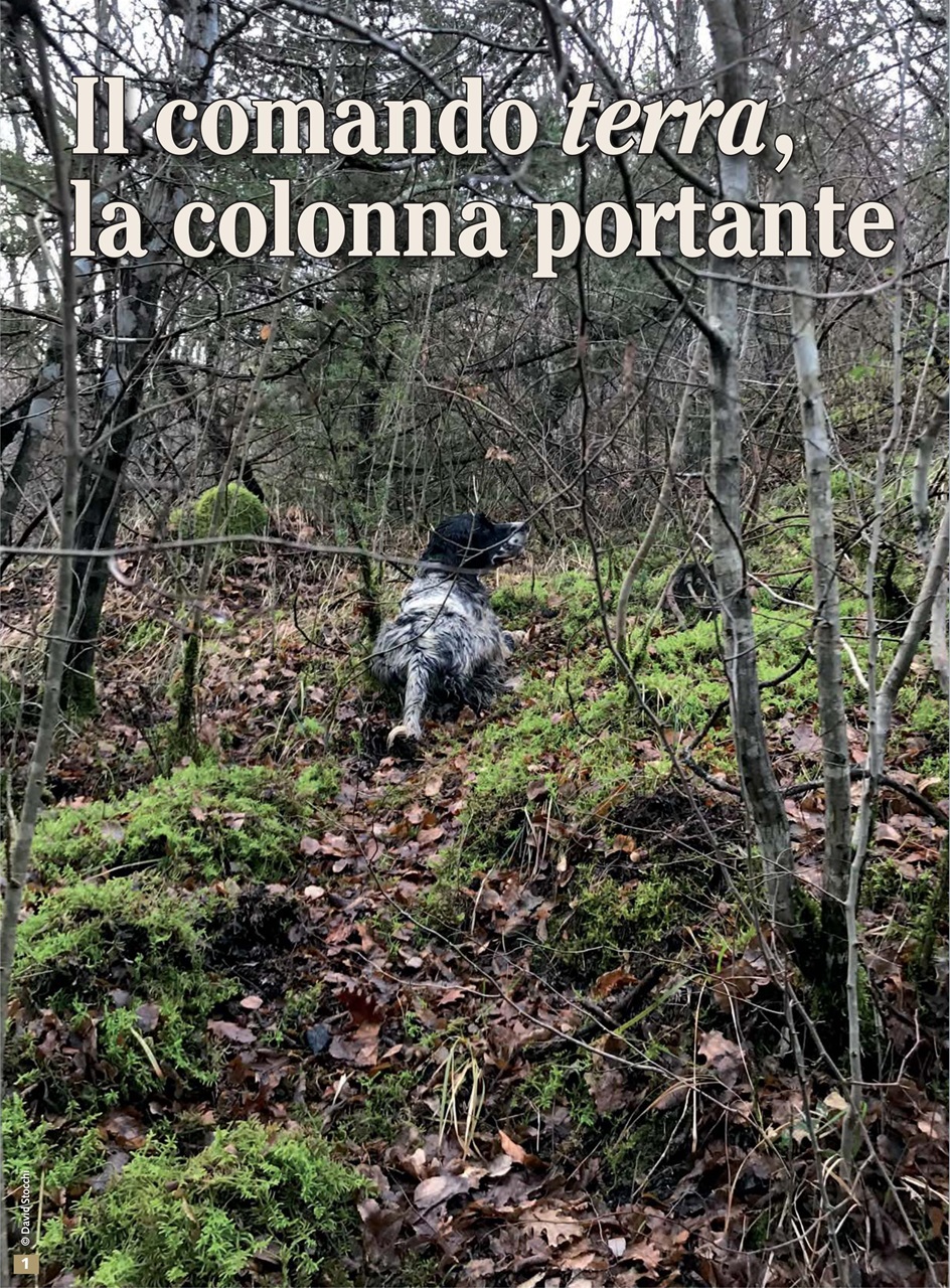 BECCACCE CHE PASSIONE Preview Pages