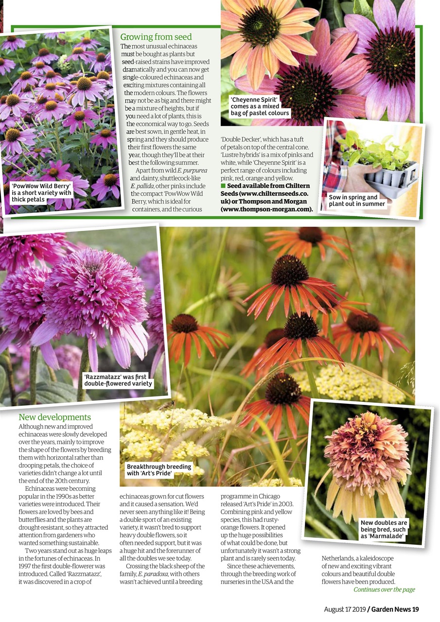 Garden News Preview Pages