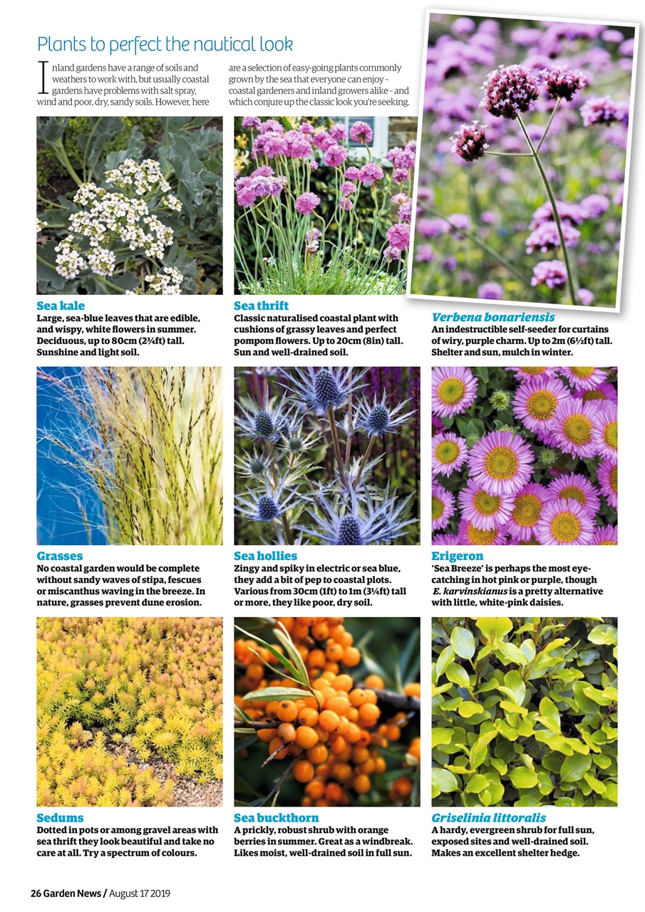 Garden News Preview Pages