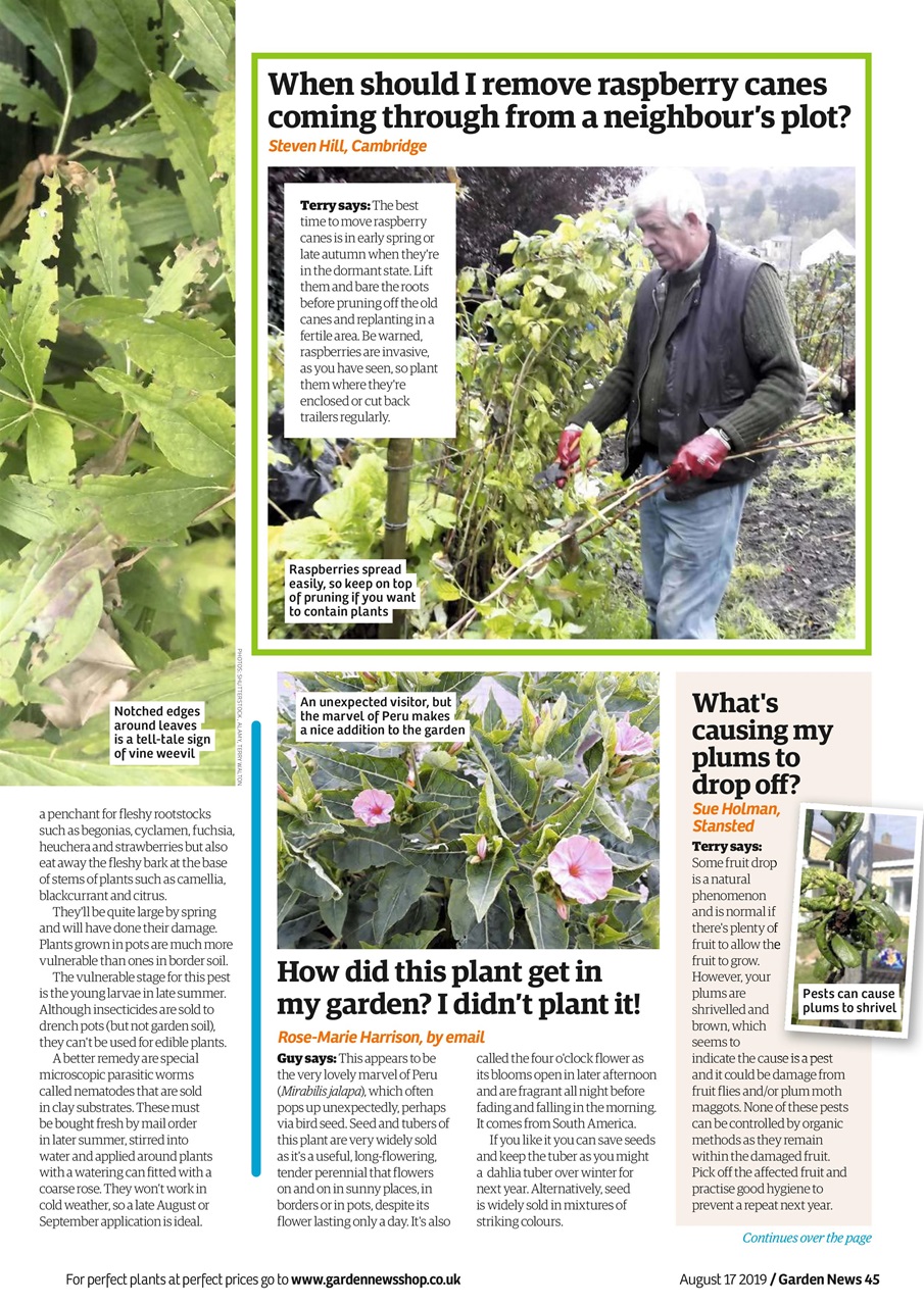Garden News Preview Pages