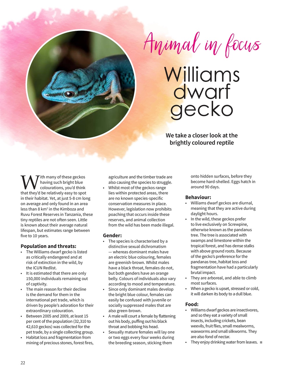 Vegan Life Preview Pages