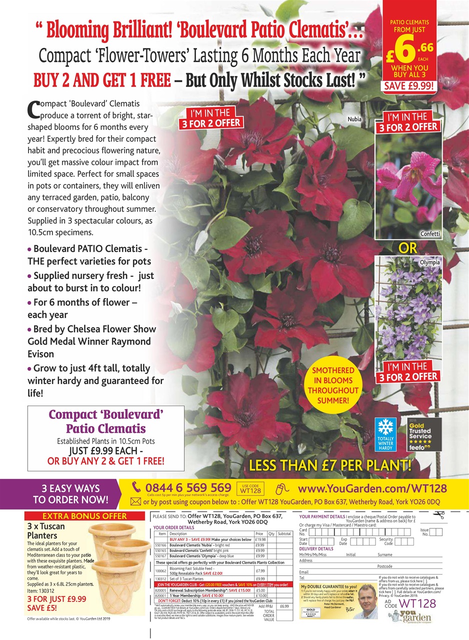 What's on TV Preview Pages