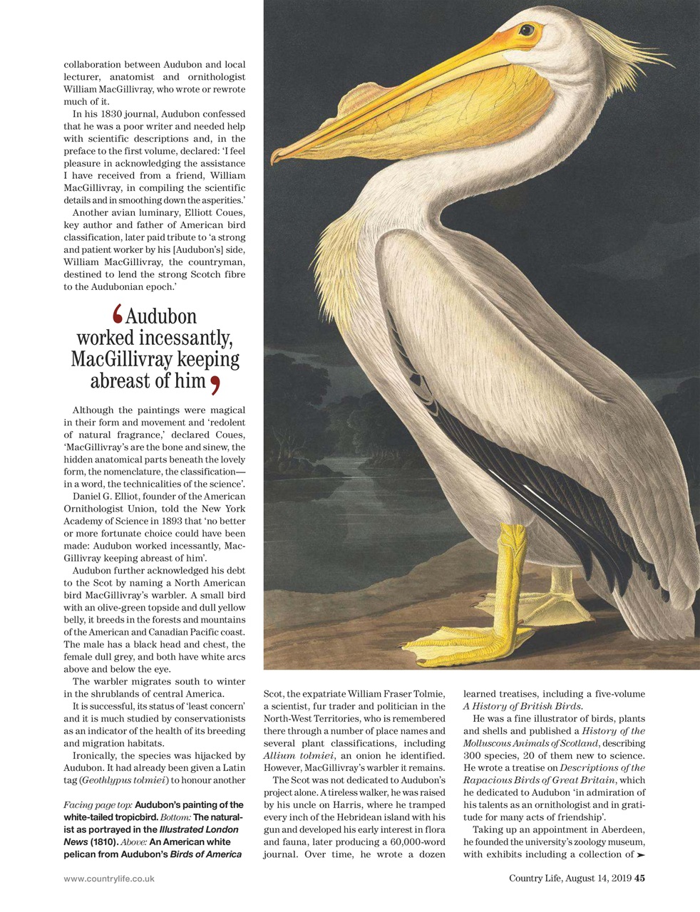 Country Life Preview Pages