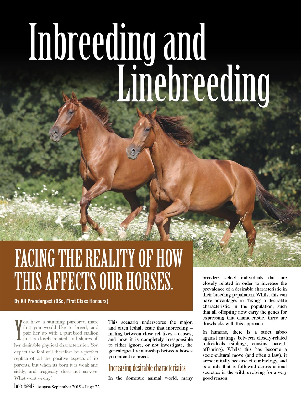 Hoofbeats Preview Pages