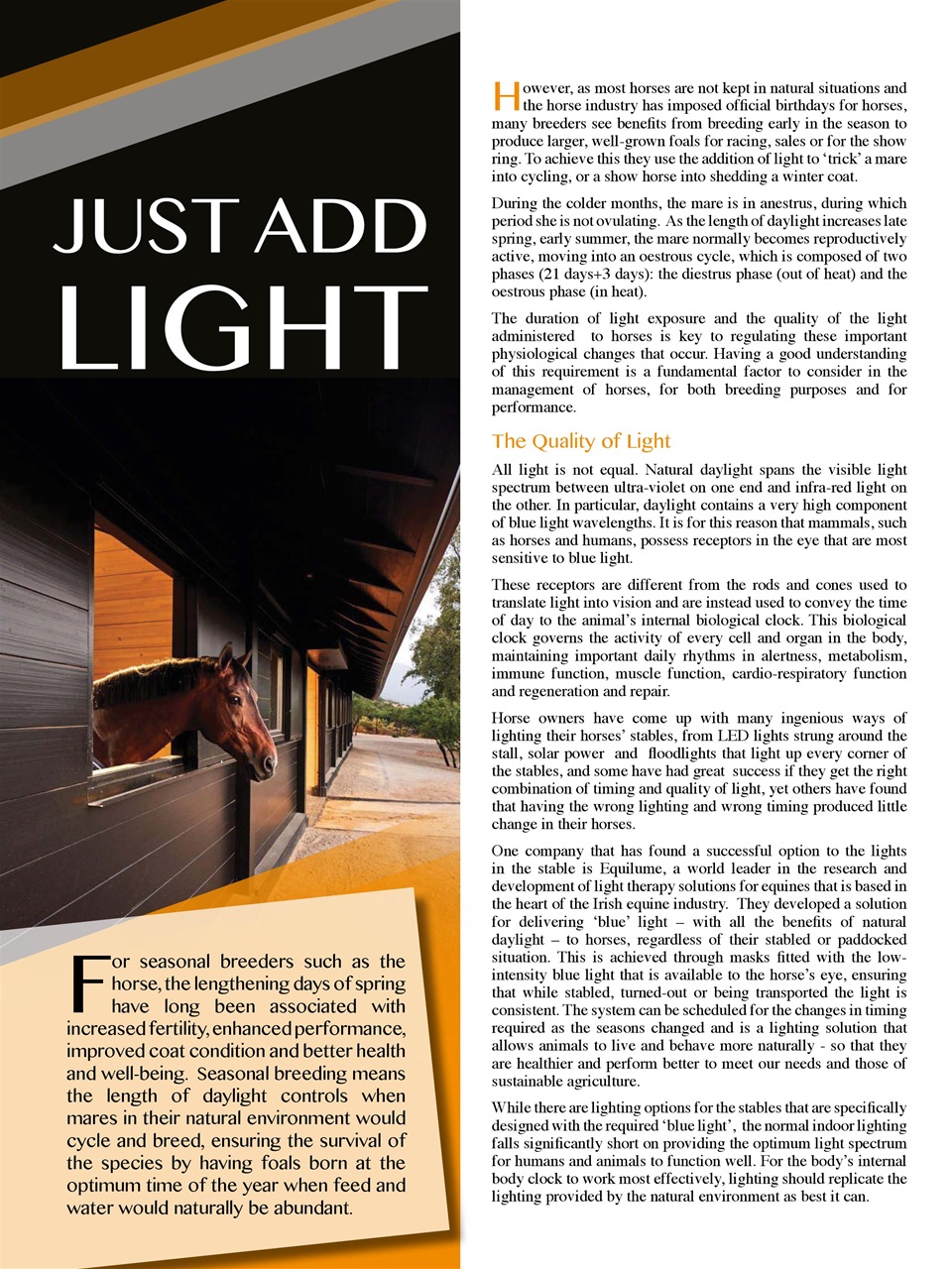 Hoofbeats Preview Pages