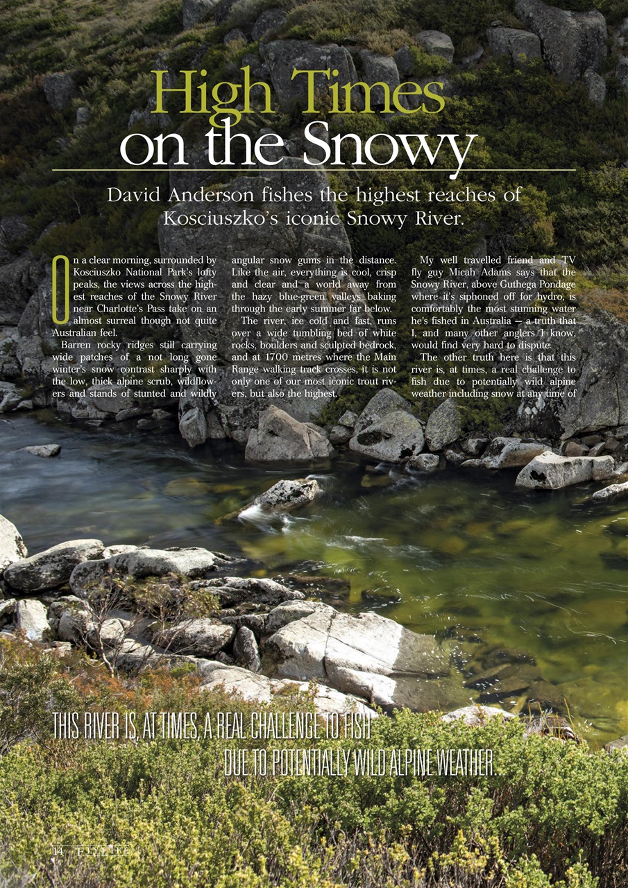 FlyLife Preview Pages