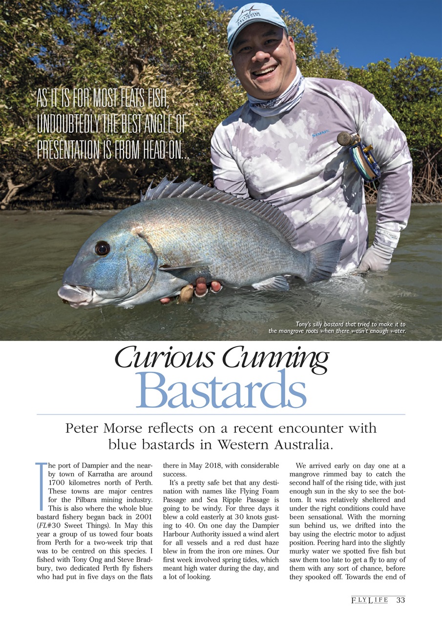 FlyLife Preview Pages